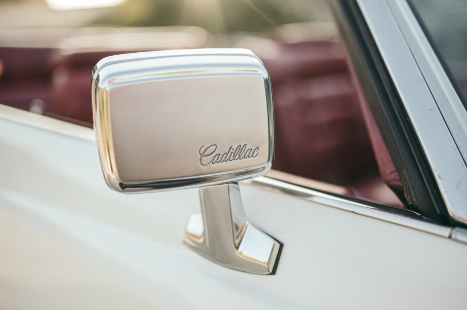 WhatsApp Image 2023-01-13 at 16.06.32.jpeg